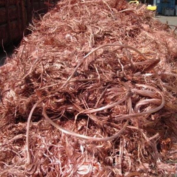 Опилки — универсальные древесные отходы
